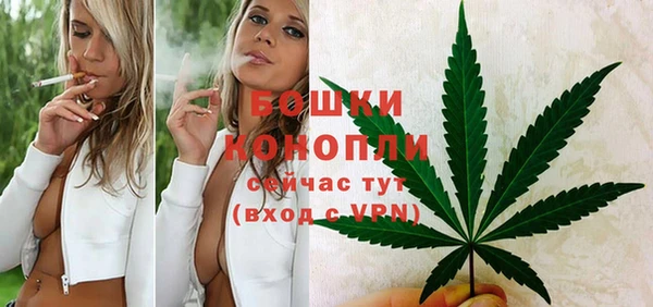 ПСИЛОЦИБИНОВЫЕ ГРИБЫ Балабаново