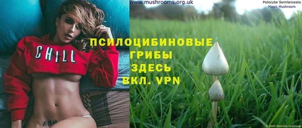 mdpv Балахна