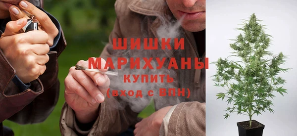 ПСИЛОЦИБИНОВЫЕ ГРИБЫ Балабаново