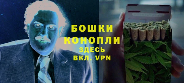 ПСИЛОЦИБИНОВЫЕ ГРИБЫ Балабаново